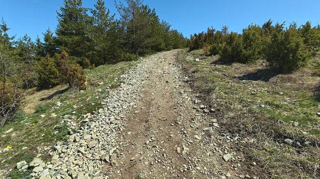 No people or animals visible. Mount Goc, Ljukten peak. Balkans, Serbia