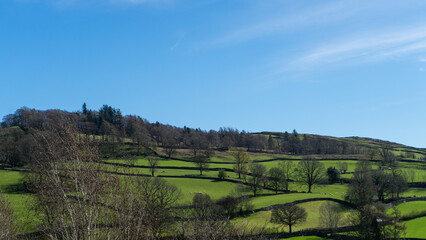 Fototapeta premium A landscape with hills, green fields, trees, and stone walls on a sunny day with a clear blue sky, lake district