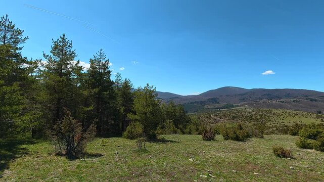 Clear sky above green hillside with pine trees. Mount Goc, Ljukten peak. Balkans, Serbia