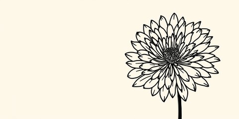 Obraz premium Black line chrysanthemum floral symbol perfect for promotional material graphics