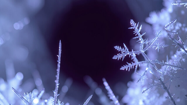 Deep perspective of delicate frost crystals illuminated against a dark void