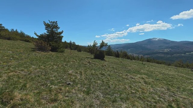 Grassy hill slopes gently under clear blue skies. Mount Goc, Ljukten peak. Balkans, Serbia