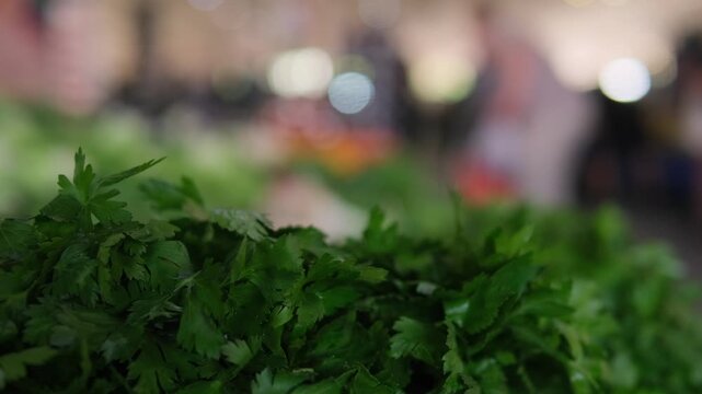 Fresh parsley bunches at lively market, tight focus on leafy texture and vibrant green, fragrant aroma suggestion, vendor display with blurred shoppers, chef