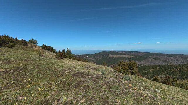 Grassy hillside under clear blue sky. Mount Goc, Ljukten peak. Balkans, Serbia