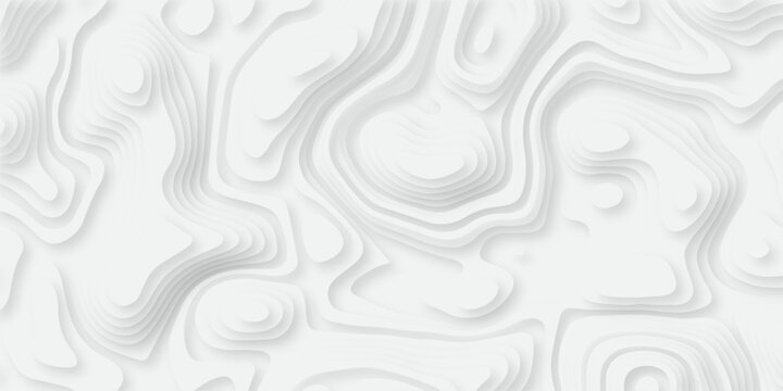 Abstract wavy line paper cut white background. vector natural shadow papercut web topography map spiral line. Topographic geometric map relief texture with curved layers. Origami relief map.