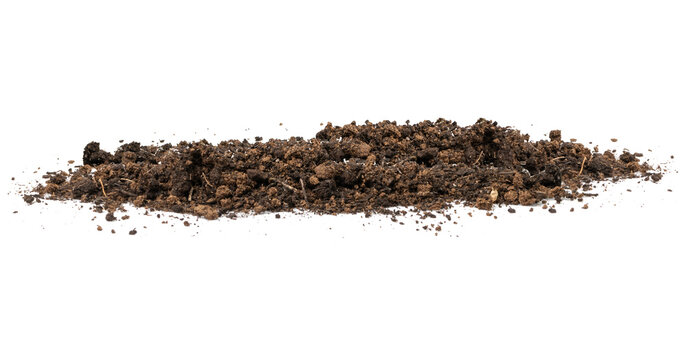 Soil Banner side view - Transparent PNG Background