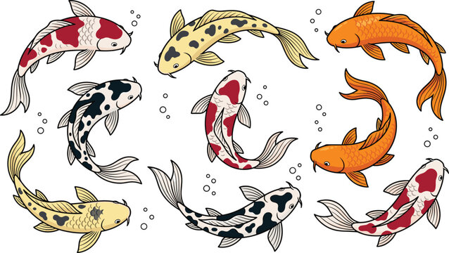 Japanese Koi Fish Carp Vector Illustration Set Featuring Colorful Swimming Nishikigoi Patterns for Asian Pond Zen and Tattoo Art Designs