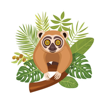Cartoon loris resting on a branch surrounded by tropical greenery
