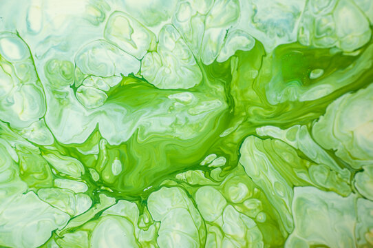 Green abstract design with smooth lines and curves made from paint on a canvas