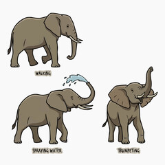 Fototapeta premium A charming illustration displays three distinct elephants, each demonstrating natural behaviors: walking, spraying water, and trumpeting loudly.