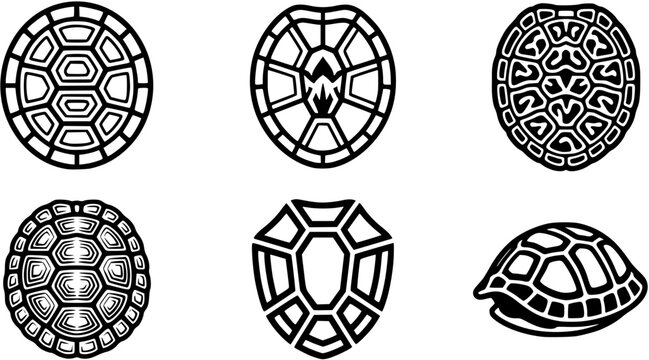 turtle shell icon. Vector illustration isolated o white background