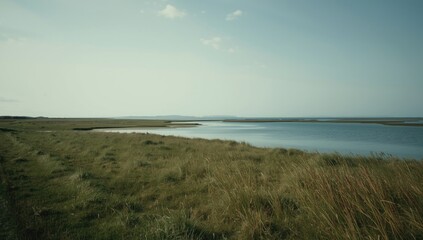 Fototapeta premium Calm rural shoreline scene with open grassy fields and distant water