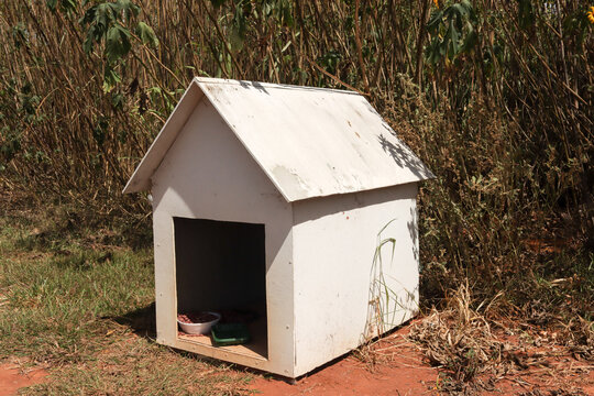 Wooden Dog House in my Backyard against a grassy area