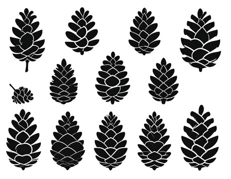 Collection of detailed black and white illustrations of pine cones