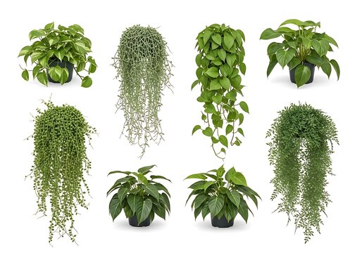Green 3d succulent plants in pots vector set