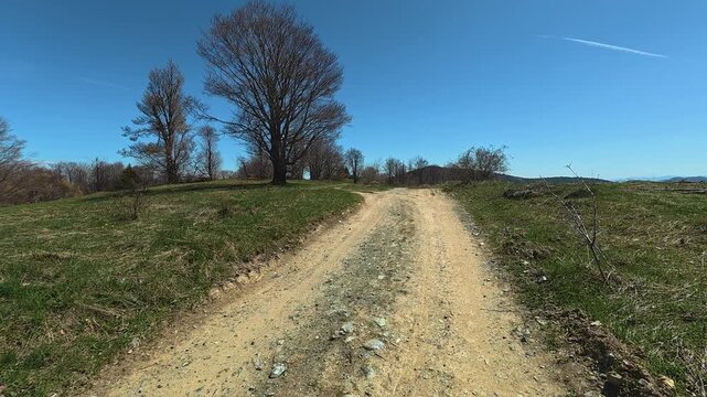 Dirt path winds through green grass and trees. Mount Goc, Ljukten peak. Balkans, Serbia