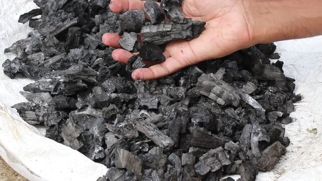 Traditional method of preserving charcoal for later use by drying in the sun in a rural village held in the hand for a close up view