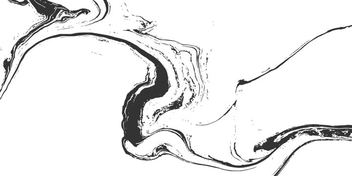 Abstract fluid art black and white liquid ink marble texture swirled wave background vector illustration.