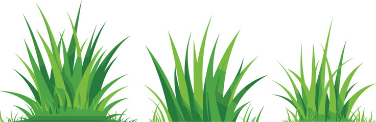 Green Grass Tuft Collection Vector Illustration with Natural Lawn Plants, Garden Foliage, and Fresh Botanical Landscape Design Elements © MdMunzurul