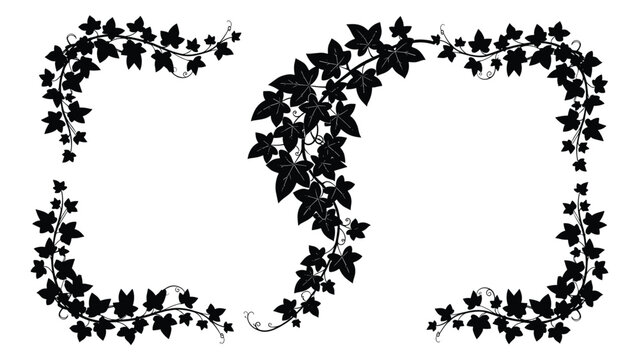 Black silhouettes of ivy vines with leaves arranged in various curving shapes for different decorative borders.