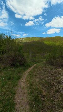 Path meanders through tall grass. Bigar Waterfall, Serbia. Vertical