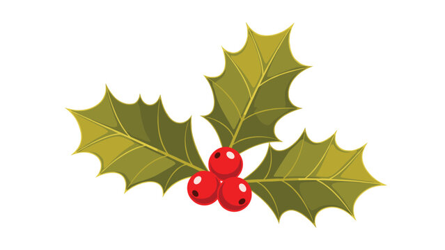 Traditional Christmas holly branch featuring bright red berries and glossy green spiked leaves isolated on a plain white background for decor.