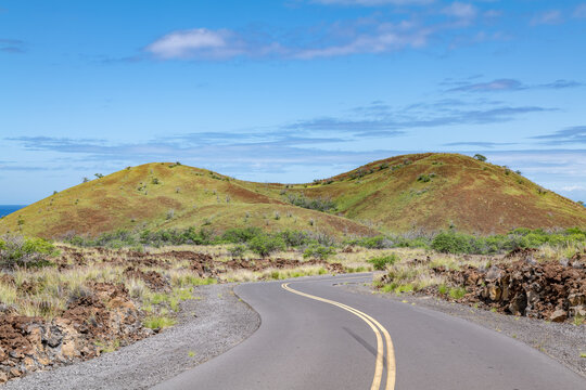 Pu'u Ku'ili ( cinder or scoria cone), Lava flows (Hualalai Volcanics). Kua Bay Access Rd, Kailua-Kona, Hawaii (Big Island). Cenchrus setaceus, crimson fountaingrass. Neltuma pallida, kiawe tree.