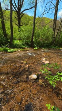 Clear stream flows over smooth stones. Bigar Waterfall, Serbia. Vertical