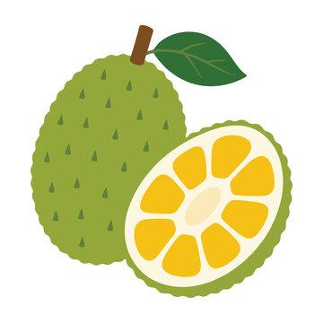 Minimalist Tropical Fruit Jackfruit Illustration