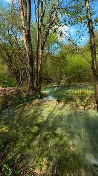 Trees stand tall, green leaves sway gently. Bigar Waterfall, Serbia. Vertical