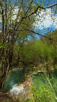 Clear water flows over rocks near trees. Bigar Waterfall, Serbia. Vertical
