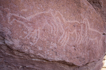 Fototapeta premium Petroglyphs of Yerbas Buenas
