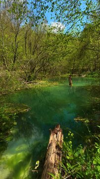Young trees line banks, leaves fresh. Bigar Waterfall, Serbia. Vertical