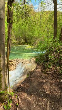 Sunlight filters through branches. Bigar Waterfall, Serbia. Vertical