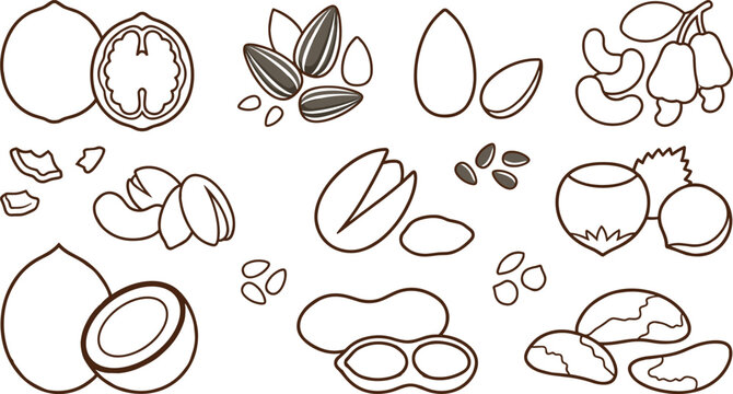 Nuts and Seeds Icon Set Featuring Walnuts, Sunflower Seeds, Almonds, Cashews, Pistachios, Peanuts, Coconuts, Hazelnuts, and Healthy Snack Symbols for Digital Designs