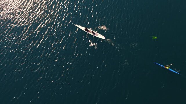 Drone shot of kayakers and rowers moving across sunlit lake water with bright reflections and ripples. Scenic outdoor sport scene showing teamwork, training, freedom and nature.