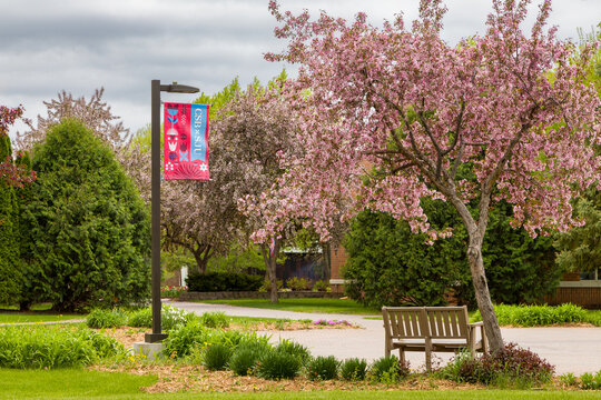 Campus Walkway and Banner on the Campus of College of Saint Benedict