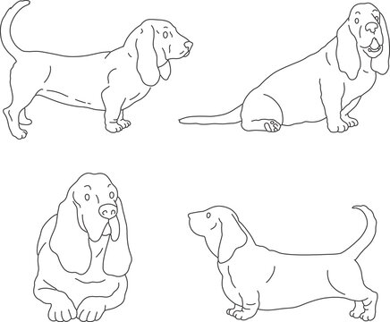 Basset Hound line art illustration long ear dog doodle sleepy hunting breed contour drawing minimalist black outline clipart veterinary clinic grooming salon pet packaging mascot logo coloring page