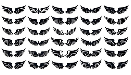 Fototapeta premium Collection of diverse stylized wing designs, black and white