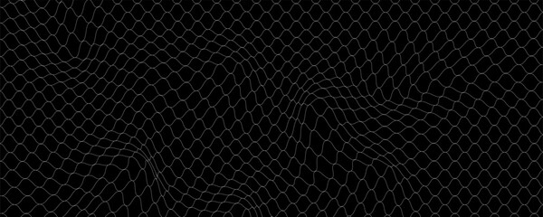 Fishing or soccer net. Repeated hexagon pattern. Black wired mesh texture isolated on white background. Metallic or fabric fence, cage or lattice structure. Vector graphic Illustration. © PECAH