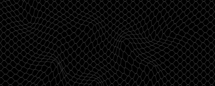 Fishing or soccer net. Repeated hexagon pattern. Black wired mesh texture isolated on white background. Metallic or fabric fence, cage or lattice structure. Vector graphic Illustration.