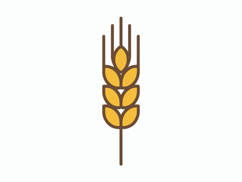 Single wheat stalk icon simple flat vector illustration representing agriculture and food isolated on white background