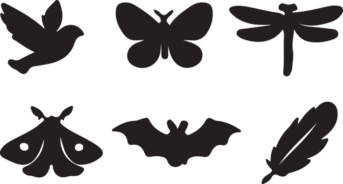Black silhouettes of bird butterfly dragonfly moth bat and feather