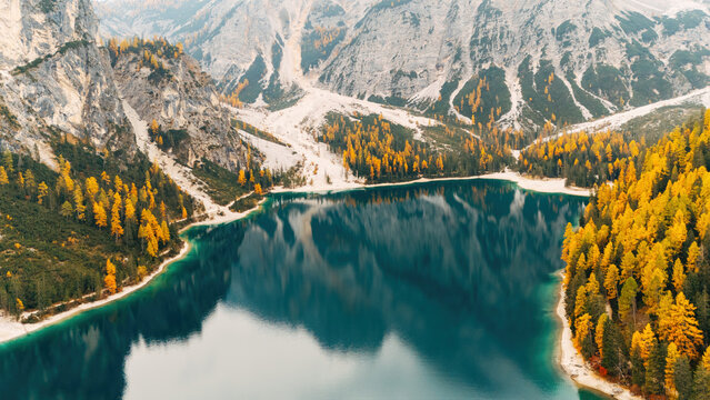 Drone Aerial View of Lago di Braies in Autumn, Emerald Alpine Lake and Golden Larch Forests in the Dolomites