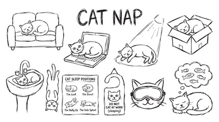 Fototapeta premium Cute cats sleeping in various funny positions and places for cat nap concept.