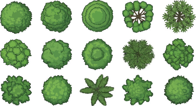 Set of various green trees top view for architectural landscape design and site plan map vector illustration