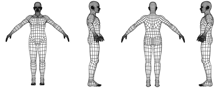 Four 3D models of a human body in a wireframe style. The models are arranged in a triangular formation. The background is transparent, allowing the models to stand out.
