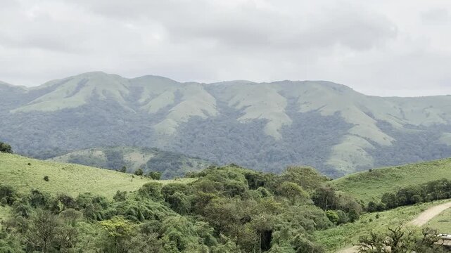 Scenic View of Mandalpatti View Point, Coorg Karnataka with Misty Hills, Off-Road Jeep Trail, Green Valleys and Dramatic Clouds in the Western Ghats, India.