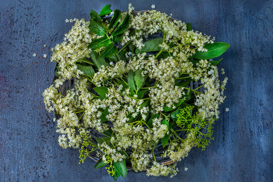 Freshly Picked edel Flowers Arranged on a Table