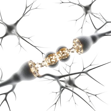 Neural network synapses communication showing connection between brain neurons with electrical signals in 3d render.